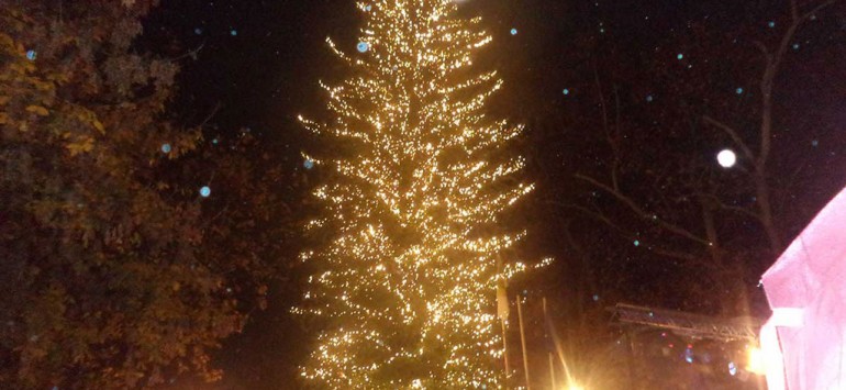 Municipality Of Trikala